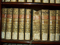 Biblioteca, particolare