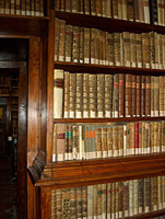 Biblioteca, particolare